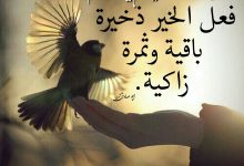 اشهار عمل الخير