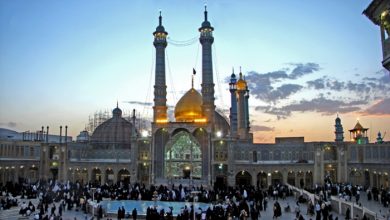 شخصية السيدة فاطمة المعصومة عليها السلام ورسالتها